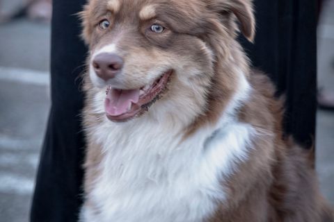 Foto z festivalu Mezi Bloky 2024